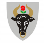 Logo Firmy