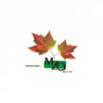 Logo Firmy