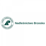 Logo Firmy